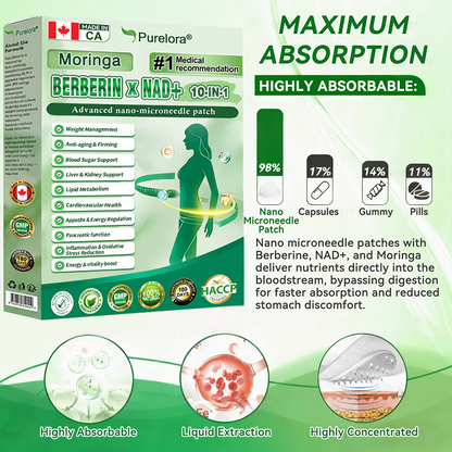 🔥 New Arrival · Hot Seller | Purelora® Moringa Berberine × NAD⁺ 10-in-1 Nano Microneedle Patch (Just once daily, visible changes in 7 days) ✅ Supports weight management, loose skin, diabetes care, sleep apnea, joint comfort, and more