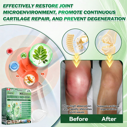 🏥Online Pharmacy 🔥 | Purelora® Moringa Berberine × NAD⁺ 20-in-1 Nano Microneedle Patch (Just once daily, visible changes in 7 days) ✅ Supports weight management, loose skin, diabetes care, sleep apnea, joint comfort, and more