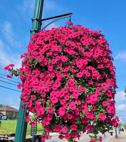 This Week's Special Sale 75% Off- UV Simulation Artificial flower